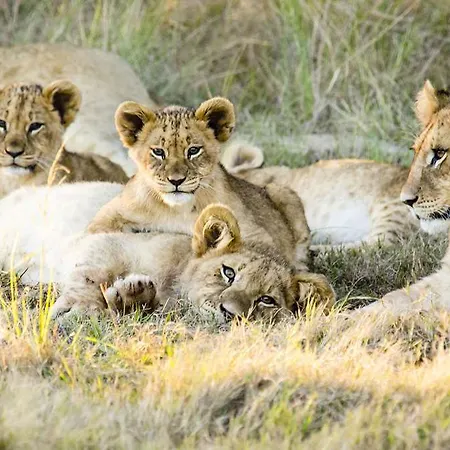 Gondwana Game Reserve 