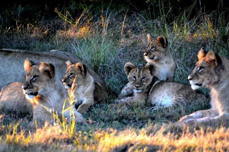 Lodge Gondwana Game Reserve Kleinberg