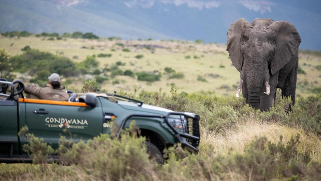 Lodge Gondwana Game Reserve Kleinberg