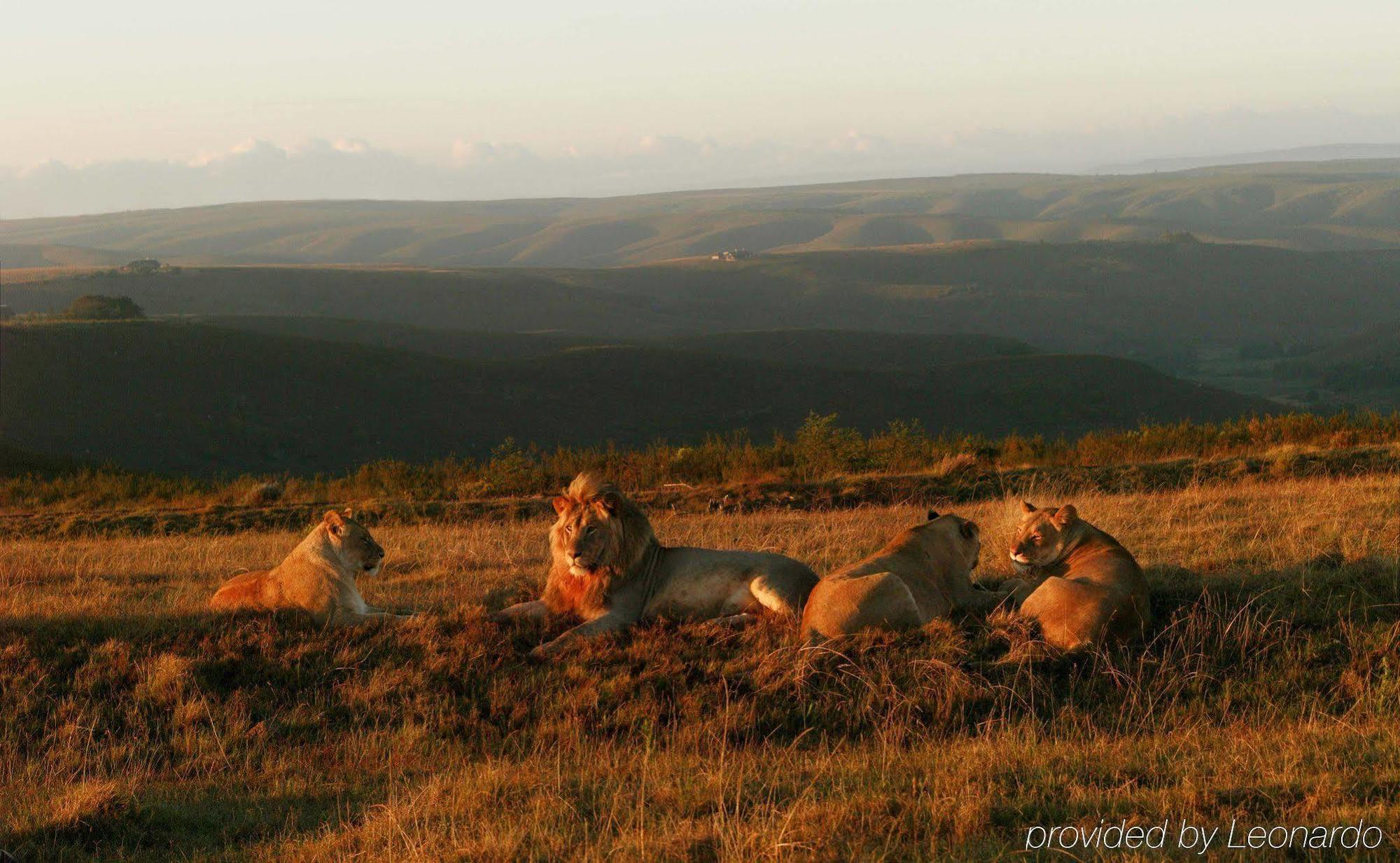 Gondwana Game Reserve Lodge
