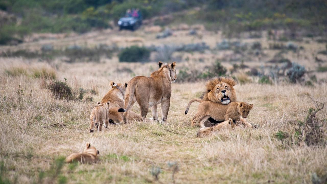 Gondwana Game Reserve Kleinberg